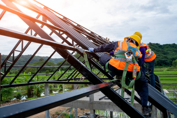 Best Commercial Roofing Services  in Stanton, MI