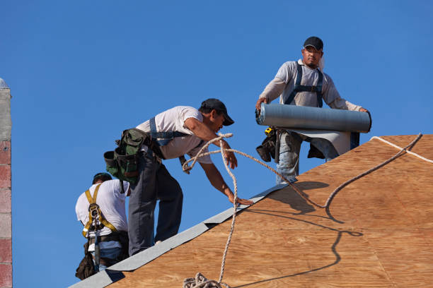 Best Commercial Roof Installation  in Stanton, MI