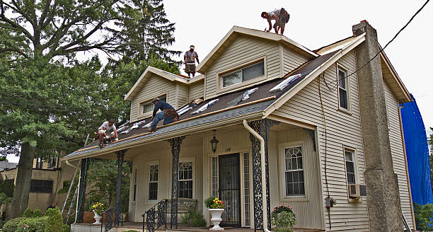 Best Best Roofing Contractors  in Stanton, MI