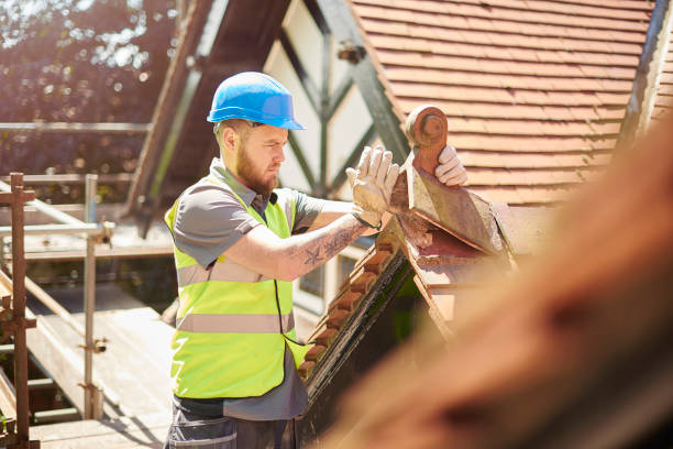 Best Metal Roofing Contractor  in Stanton, MI