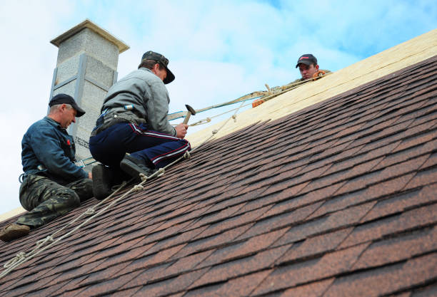 Best Slate Roofing Contractor  in Stanton, MI