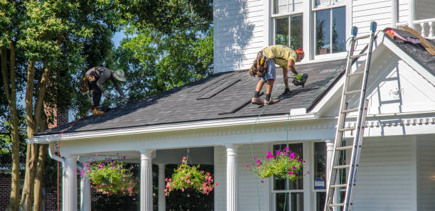 Best Roof Leak Repair  in Stanton, MI