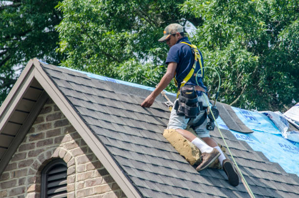 Roof Gutter Cleaning in Stanton, MI